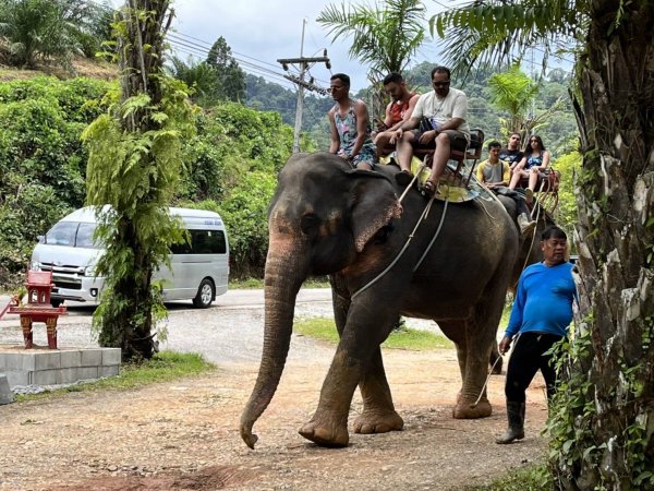 KHAO LAK BAMBOO RAFTING TOUR & ELEPHANT TREKKING